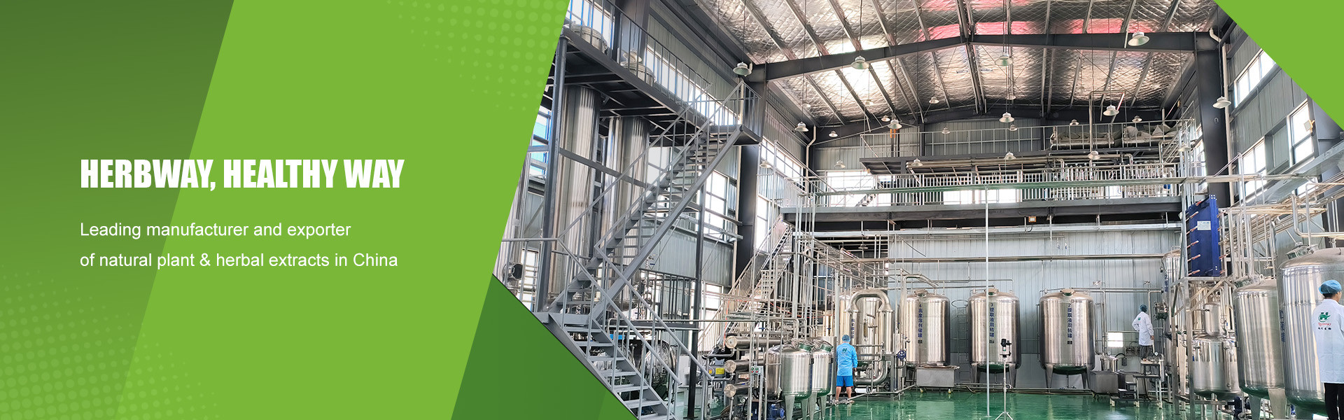 품질 식물 추출물 분말 공장